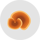 Bullowa Haircare Instant Dye Shampoo