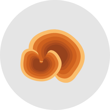 Bullowa Haircare Instant Dye Shampoo