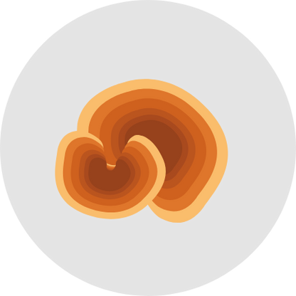 Bullowa Haircare Instant Dye Shampoo